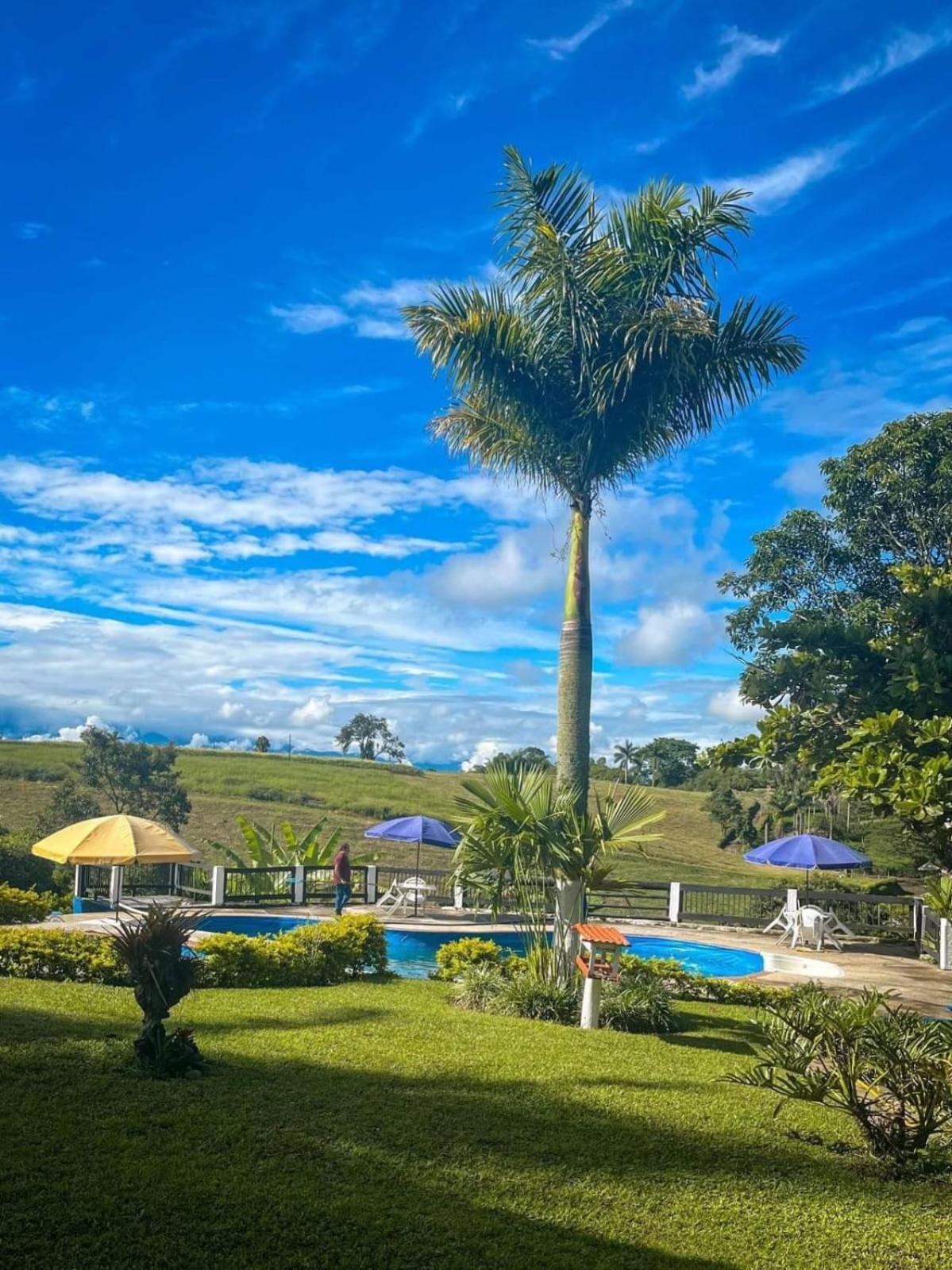 Finca Hotel Palmas Frente A Panaca Quimbaya Esterno foto
