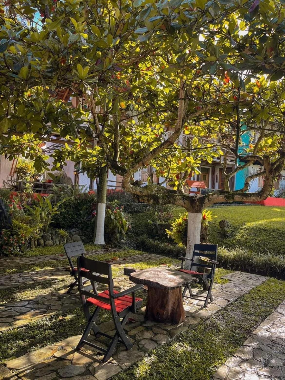 Finca Hotel Palmas Frente A Panaca Quimbaya Esterno foto